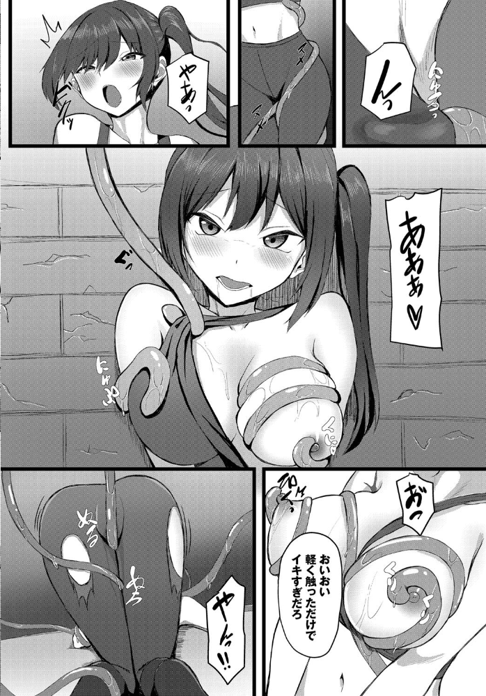 エロ漫画:堕ちる乙女の異世界譚(ファンタジア)【電子オリジナルコミックス】【FANZA限定版】 【たってぃぬ コミックバベル編集部】 サンプル画像
