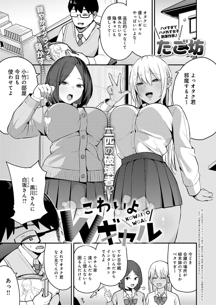 エロ漫画：こわいよWギャル 【たご坊】 サンプル画像