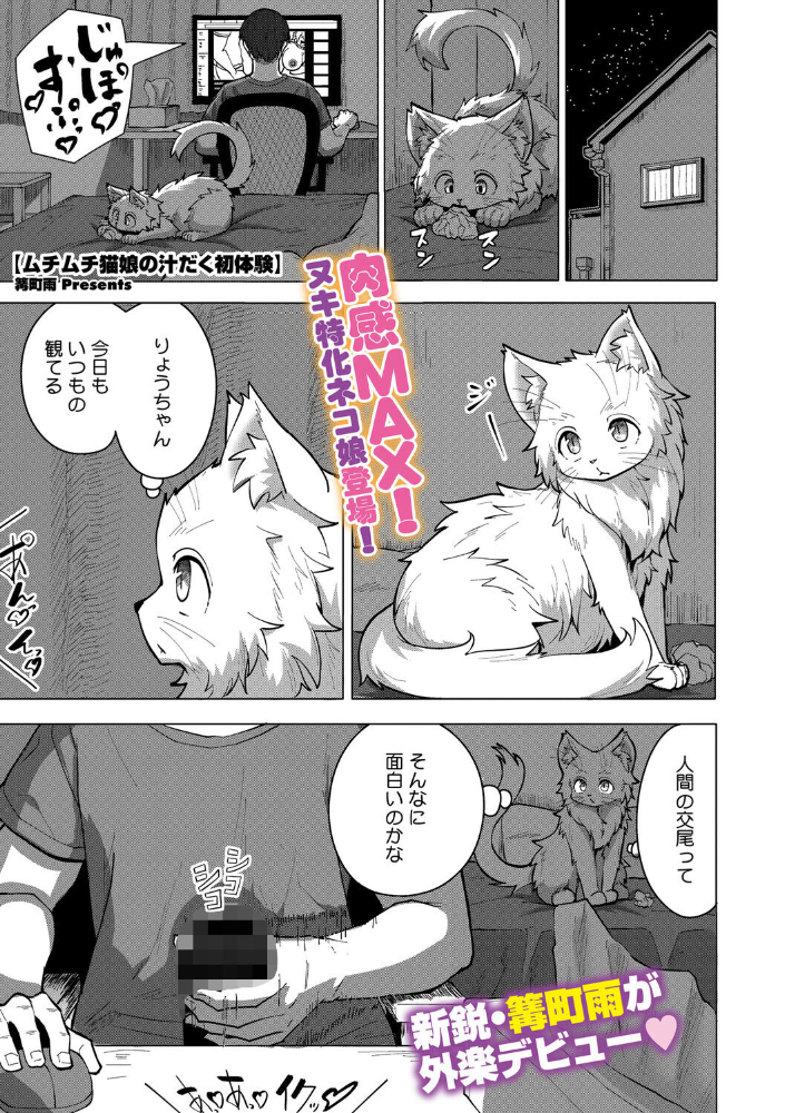 エロ漫画:ムチムチ猫娘の汁だく初体験 【篝町雨】 サンプル画像
