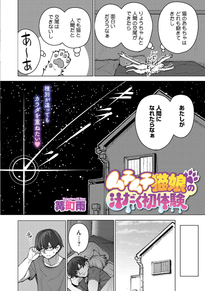 エロ漫画:ムチムチ猫娘の汁だく初体験 【篝町雨】 サンプル画像