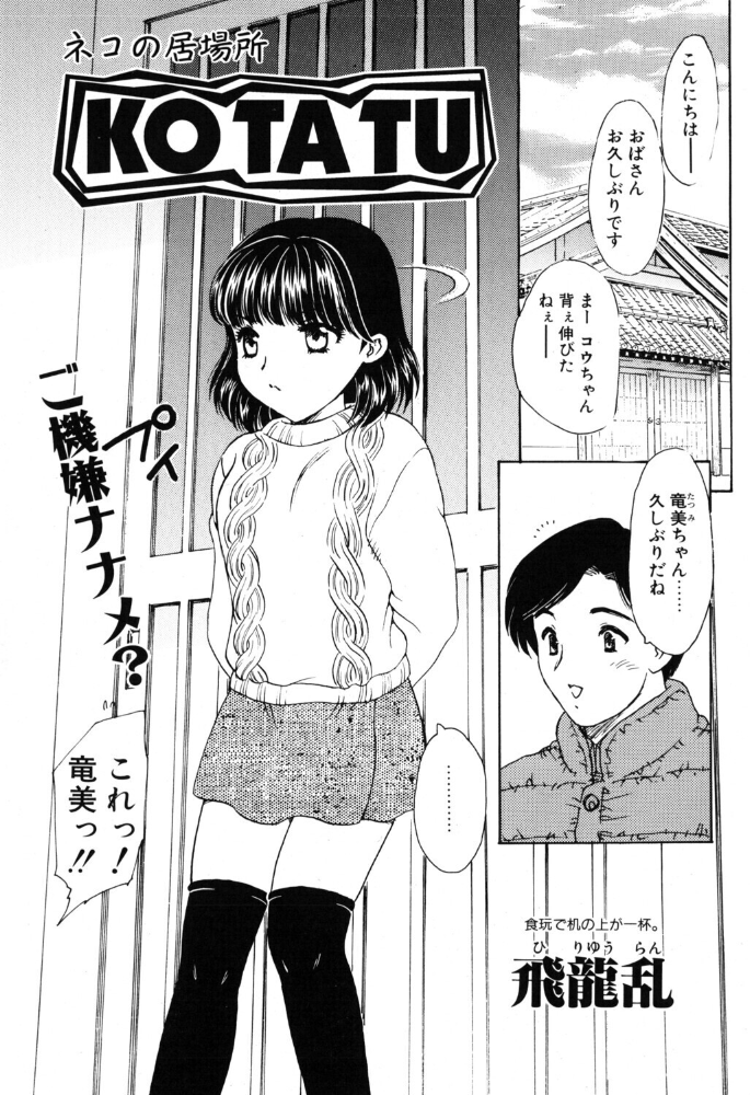 エロ漫画：KOTATU 【飛龍乱】 サンプル画像