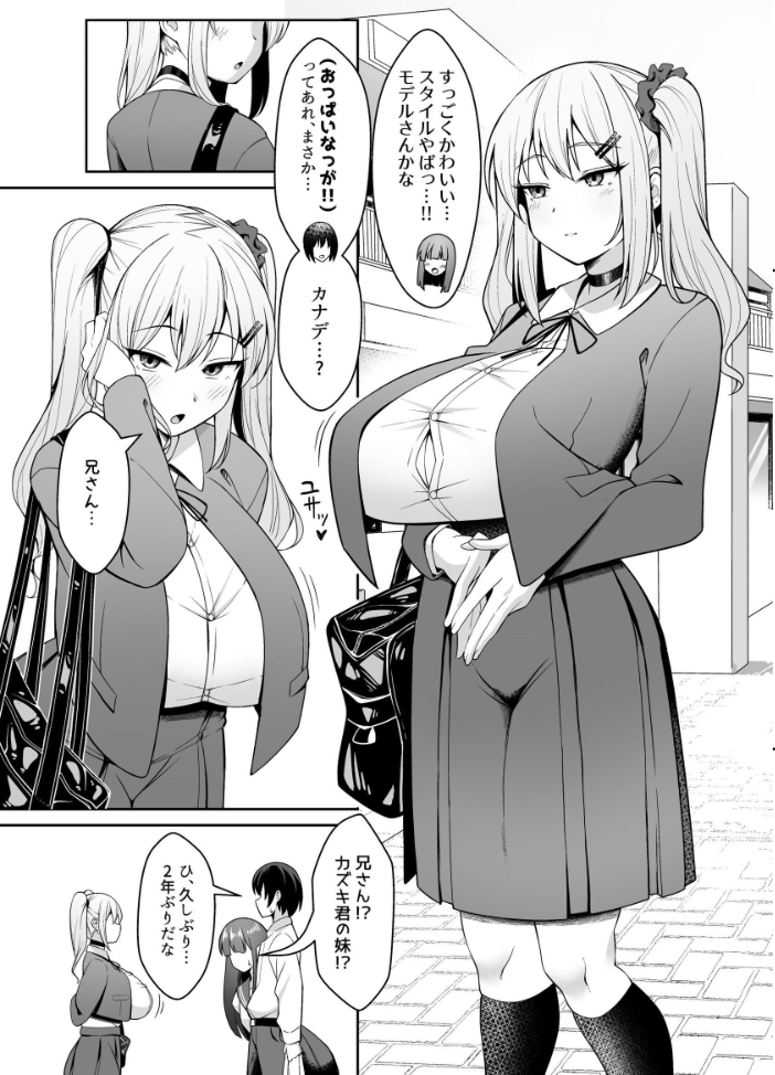 エロ漫画:兄ラブ高湿度長乳妹に迫られて孕ませちゃう話【電子版】 【ねこじまさき】 サンプル画像