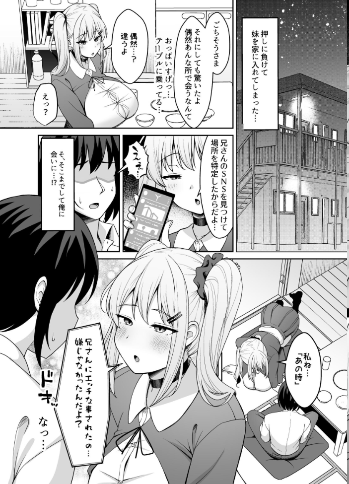 エロ漫画:兄ラブ高湿度長乳妹に迫られて孕ませちゃう話【電子版】 【ねこじまさき】 サンプル画像