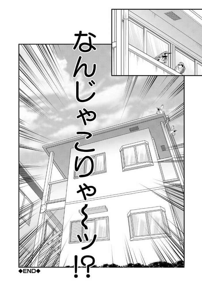 エロ漫画:ご近所お姉さんと4Pってマジ!? 【成島ゴドー MUJIN編集部】 サンプル画像