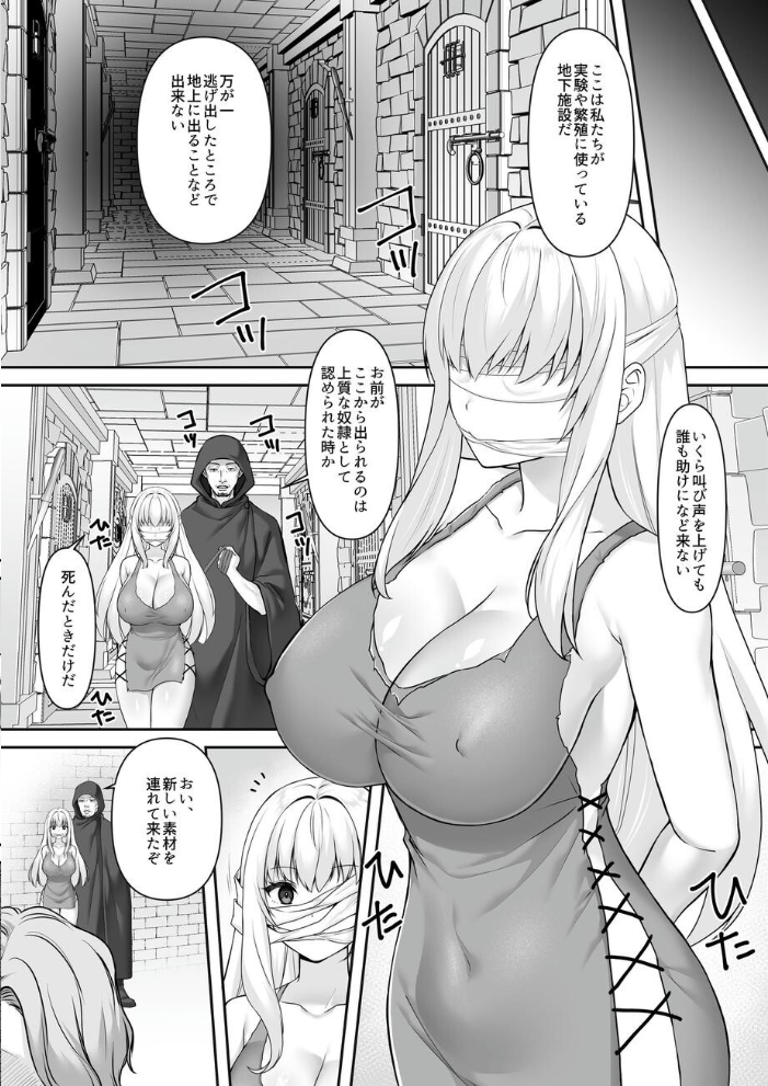 エロ漫画:遮断賢者 〜百年生きた女賢者は囮捜査で感覚遮断魔法を使います〜 【エルトリア 如月藍 ベルム】 サンプル画像
