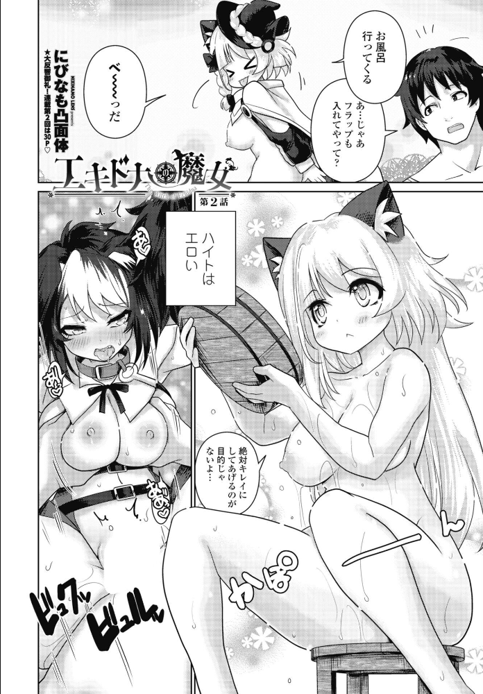 エロ漫画：エキドナの魔女 第2話 【にびなも凸面体】 サンプル画像